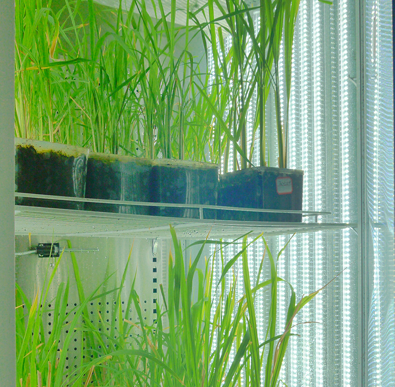 寧波江南儀器廠(chǎng)_人工氣候培養(yǎng)箱,光照培養(yǎng)箱,植物生長(zhǎng)培養(yǎng)類(lèi)箱體 寧波江南儀器廠(chǎng)_人工氣候培養(yǎng)箱,光照培養(yǎng)箱,植物生長(zhǎng)培養(yǎng)類(lèi)箱體