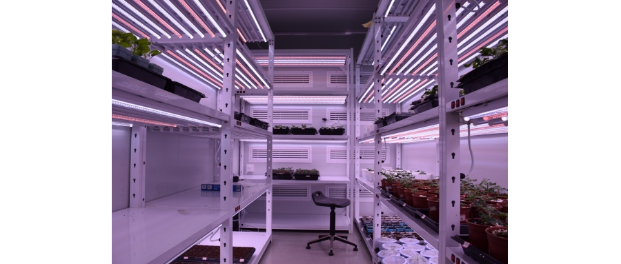 氣候室植物培養(yǎng)架